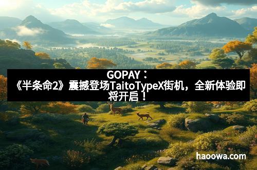 GOPAY：《半条命2》震撼登场TaitoTypeX街机，全新体验即将开启！